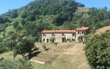 Cascinale in vendita sulla prima collina di Pietrasanta in località strettoia Cod 1965
