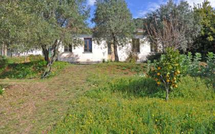 Villetta da ristrutturare in vendita sulla collina di strettoia cod 1510