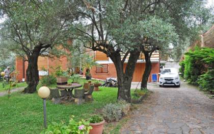 Grande villa anni 70 in vendita nella campagna di Seravezza con grande terreno olivetato e giardino distribuita su più livelli con soggiorno con veranda cucina con veranda coperta 3 camere 2 bagni più garage e 3 vani accessori