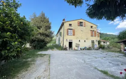 Grande cascinale da ristrutturare immerso nella campagna di Pietrasanta a pochi minuti da mare e centro, con fabbricato principale ideale per residenza di charme agriturismo o attività ricettiva e 2 fabbricati ricovero attrezzi, circondato da 2 ettari di terreno pianeggiante trasformabile in parco con comodo accesso