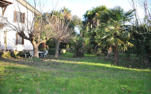 Casa a Pietrasanta – Villetta Bifamiliare in vendita