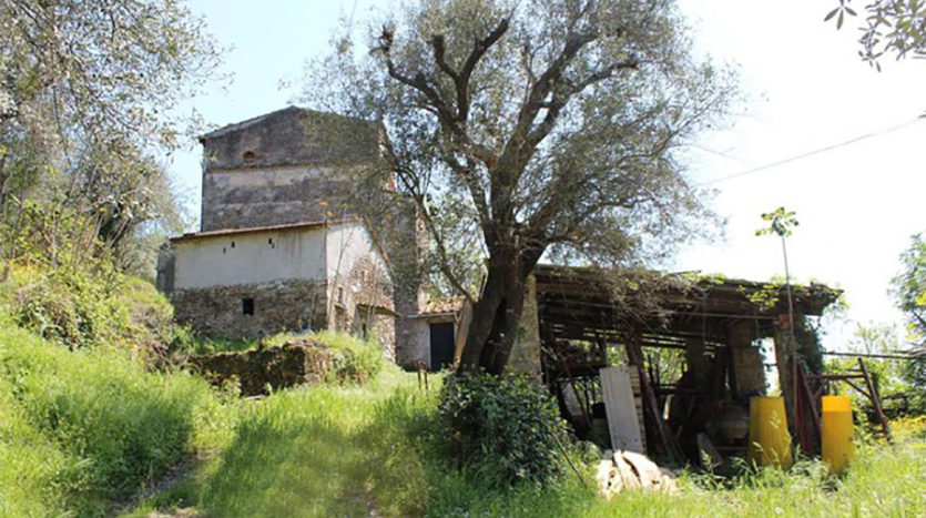 Casale da ristrutturare sulla primissima collina di Pietrasanta cod 1470