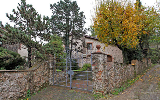 Rustici in Versilia – Antico frantoio in vendita a Camaiore