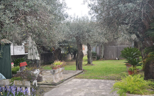 Casa in campagna – Appartamento P.T. in vendita nel Comune di Seravezza
