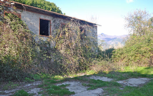 Casale in Versilia – Casolare da ristrutturare in vendita nel Comune di Forte dei Marmi – Venduto