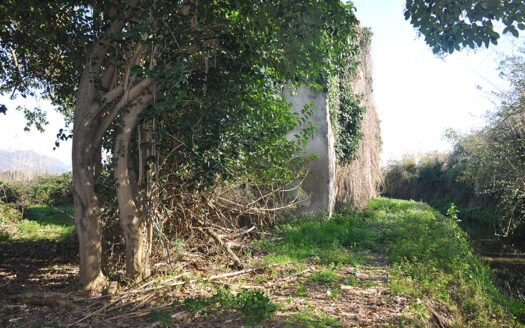 Casale in Versilia – Casolare da ristrutturare in vendita nel Comune di Forte dei Marmi – Venduto