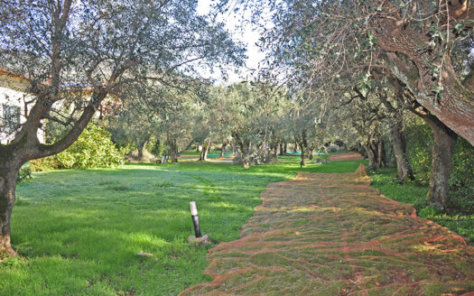 Villa in Versilia – Villa con grande giardino in vendita nel Comune di Seravezza