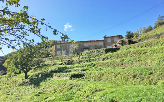 Casale vista mare – Casolare suddiviso in due unità immobiliari sulla collina di Pietrasanta