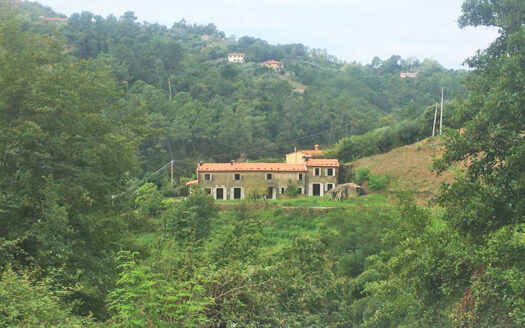 Casale vista mare – Casolare suddiviso in due unità immobiliari sulla collina di Pietrasanta