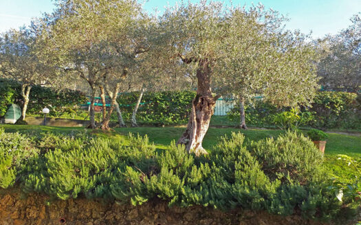 Casa in Versilia – Villetta bifamiliare in vendita sulla collina di Pietrasanta