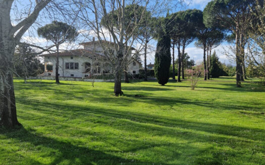 Villa in Versilia – Villa con parco in vendita nella campagna di Pietrasanta