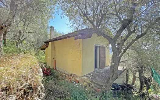 Terreno agricolo con annesso in muratura in vendita a Pietrasanta nella frazione diCapezzano Monte Cod 2064